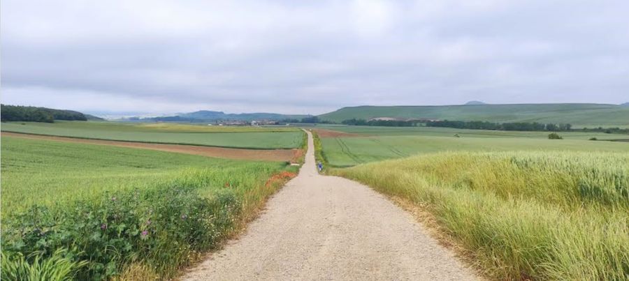 Chemin à perte de vue